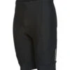 Louis Garneau Men's Optimum 2 Cycling Shorts -Swimming Equipment Store 5666379628712 black 1a