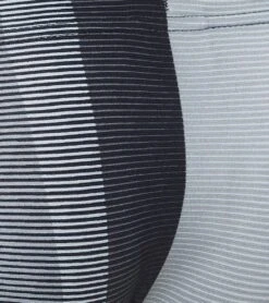 Arena Boys' Blended Stripe Brief Swimsuit -Swimming Equipment Store 5668798890152 black 3a