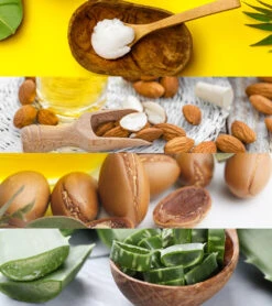 Pre-Swim Hair Defense 16.9 Oz. -Swimming Equipment Store 5678005846184 almondscented 5a