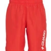Nike Men's Lifeguard 9" Volley Short