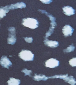 Xcel Womens Ocean Ramsey Axis 2mm Long Sleeve Back Zip Spring Suit -Swimming Equipment Store 5680475504808 blackwhaleshark 5a