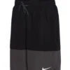 Nike Men's Split 20" Volley Short