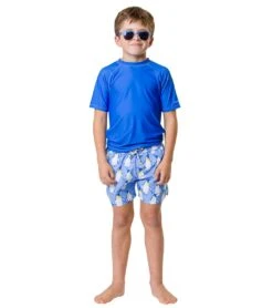 Boys' Penguin Patrol Volley Board Short (Toddler, Little Kid, Big Kid) -Swimming Equipment Store 7217020993704 blue 5a