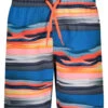 Under Armour Boys' UA Serenity Stripe Volley Shorts (Little Kid) 2 Under Armour Boys' UA Serenity Stripe Volley Shorts (Little Kid) -Swimming Equipment Store 7647420383400 bluecircuit 1a