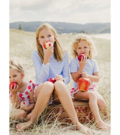 Girls' Cornflower Stripe Long Sleeve Rashguard (Toddler, Little Kid, Big Kid) -Swimming Equipment Store 7652778705064 blue 4a