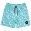 Boys' Peaks Board Shorts (Toddler, Little Kid, Big Kid) -Swimming Equipment Store 7717053104296 beachglass 1a